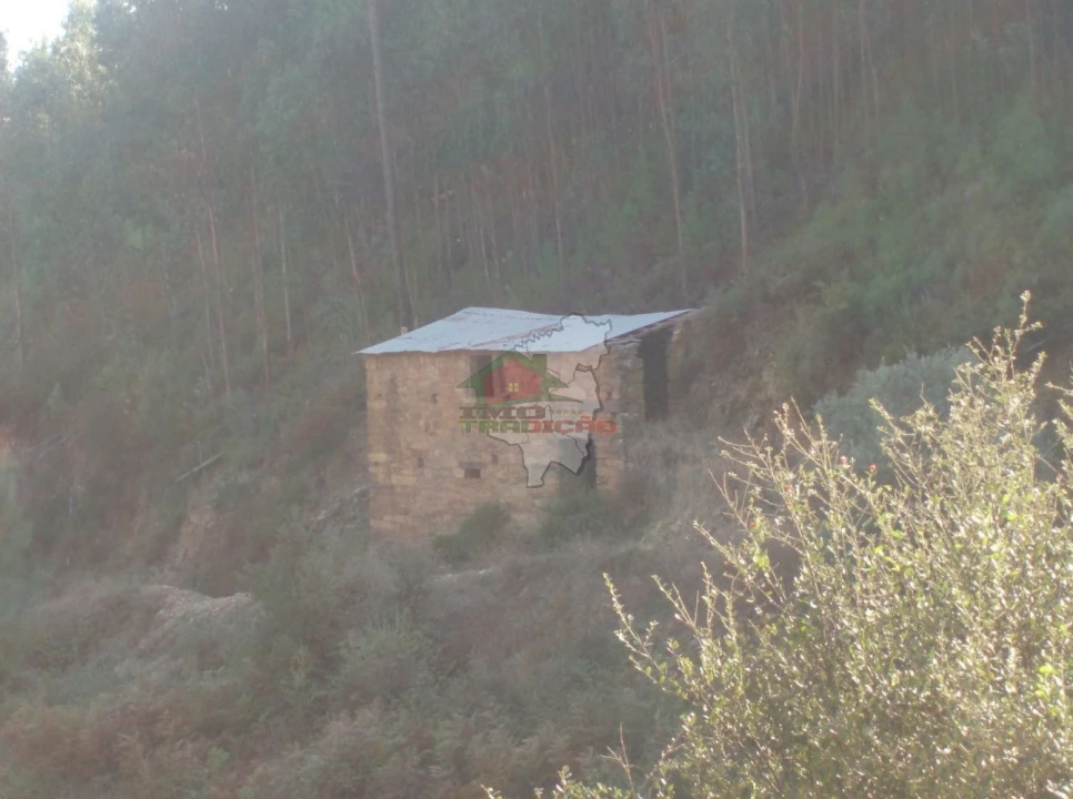 Terreno para Venda em Troviscal Foto 2