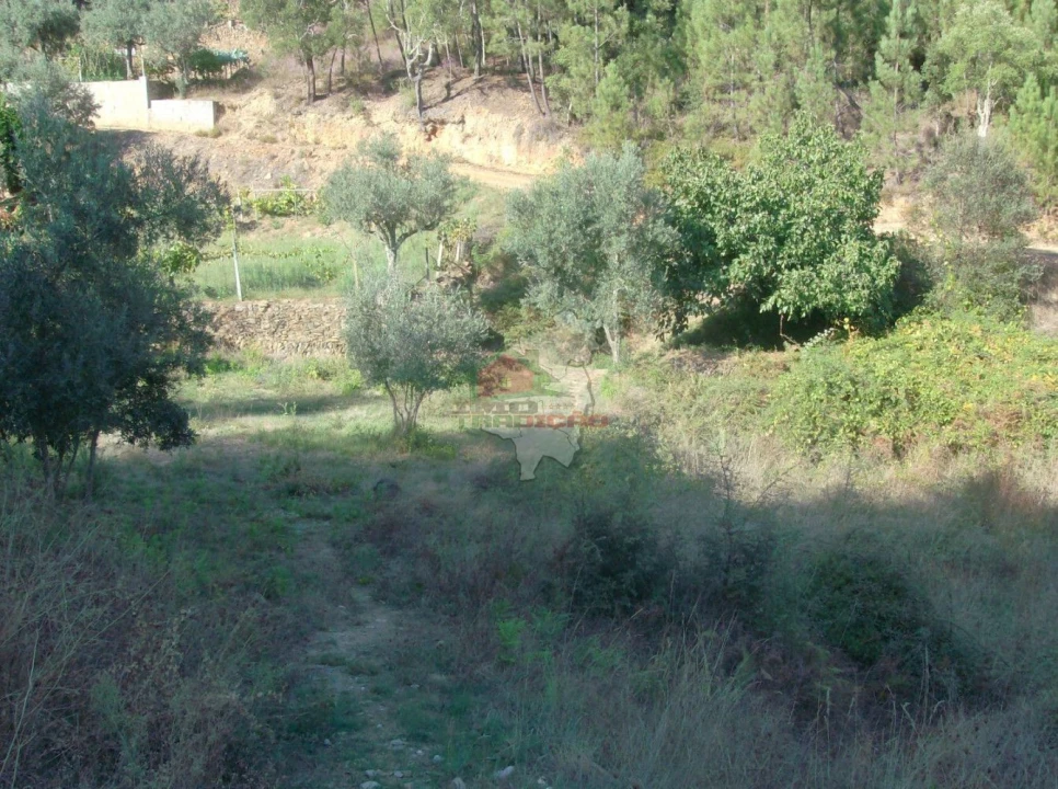 Terreno para Venda em Troviscal Foto 3