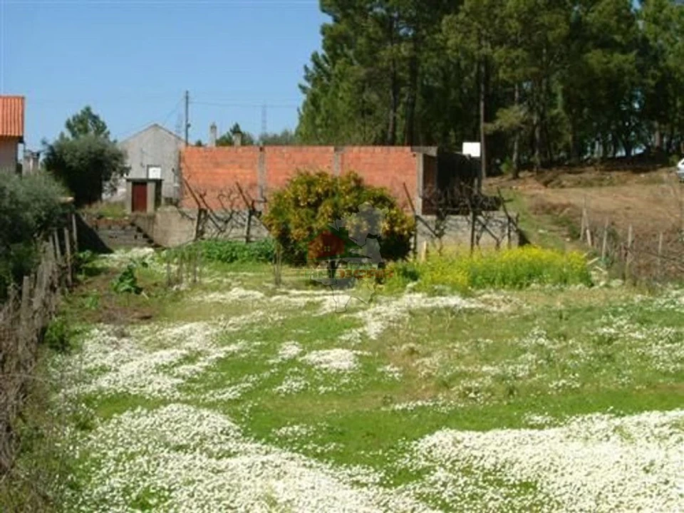 Terreno para Venda em Castelo Foto 1