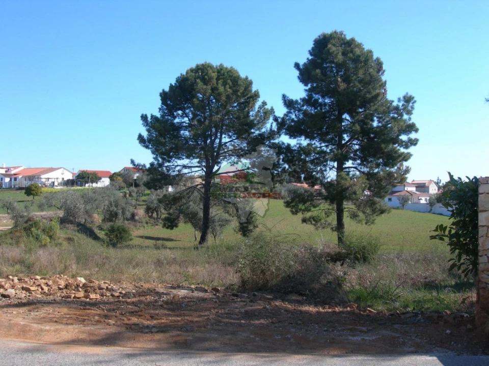 Terreno para Venda em Cabeçudo Foto 1