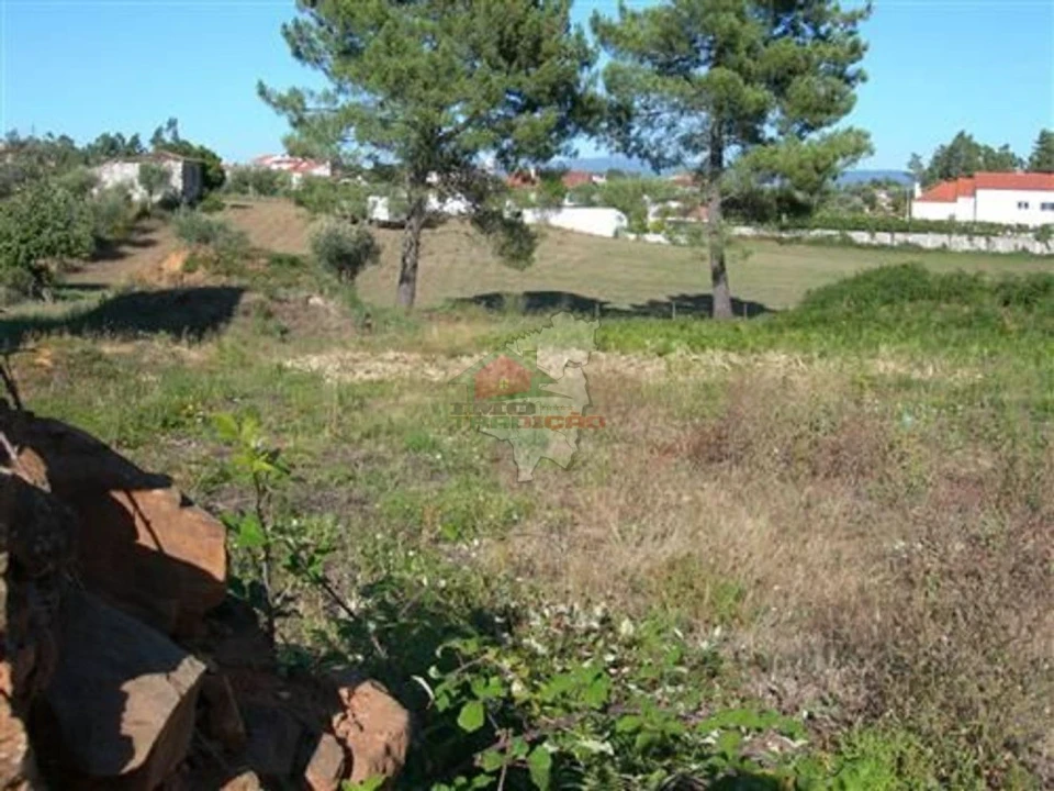 Terreno para Venda em Cabeçudo Foto 4