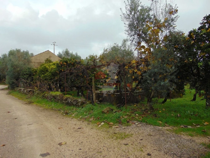 Quinta T0 para Venda em Sertã Foto 15