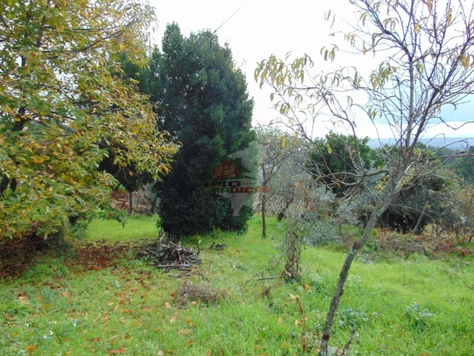 Quinta T0 para Venda em Sertã Foto 12