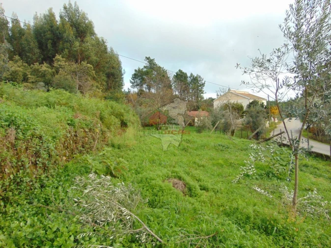 Quinta T0 para Venda em Sertã Foto 7