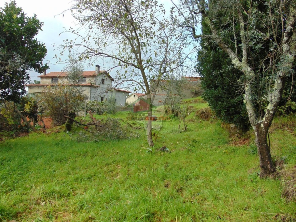 Quinta T0 para Venda em Sertã Foto 9