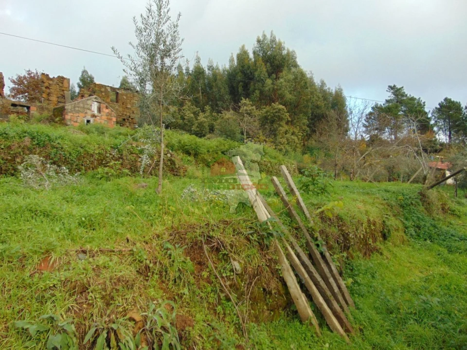 Quinta T0 para Venda em Sertã Foto 3