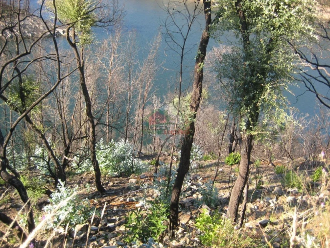 Terreno para Venda em Alvaro Foto 12