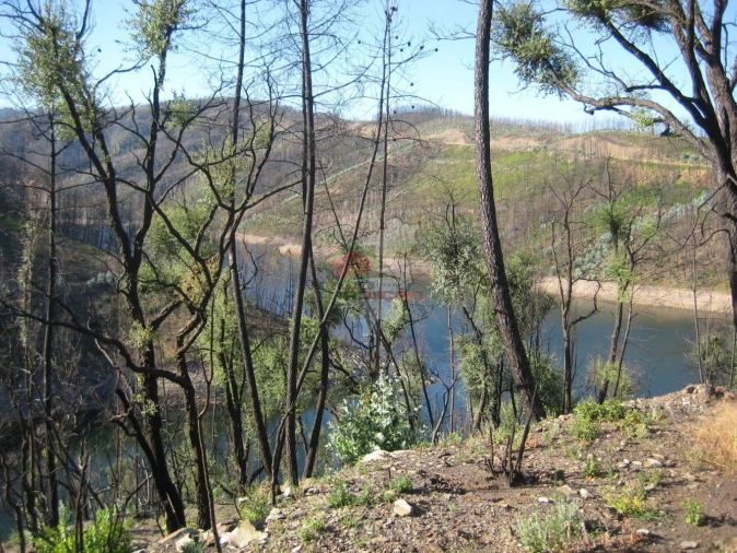 Terreno para Venda em Alvaro