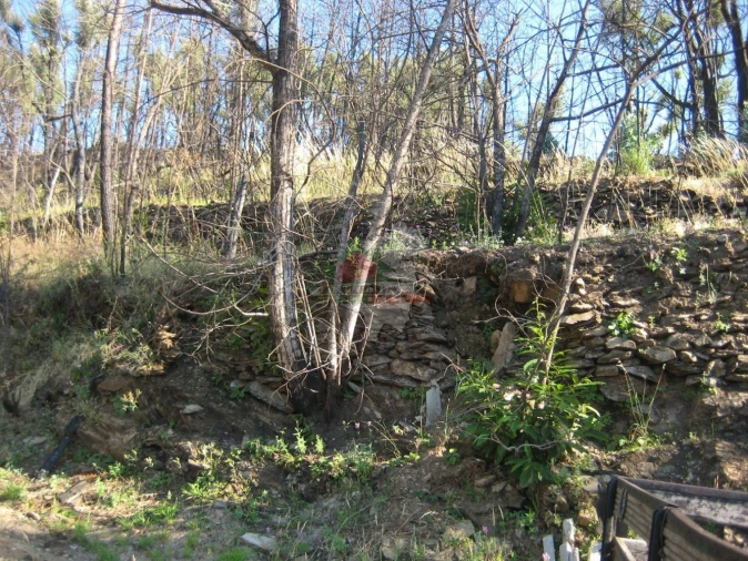 Terreno para Venda em Alvaro Foto 11