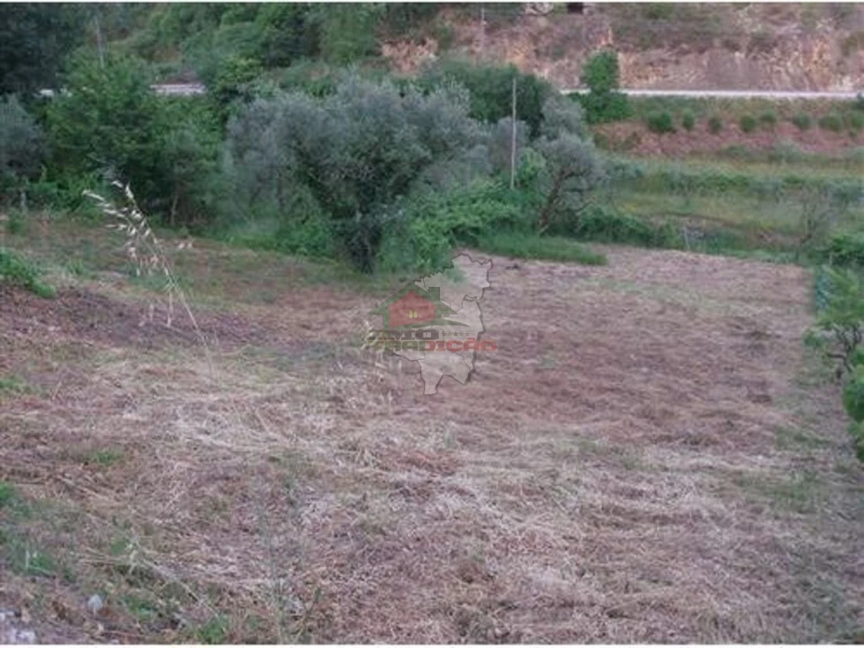 Terreno para Venda em Figueiró dos Vinhos e Bairradas Foto 3