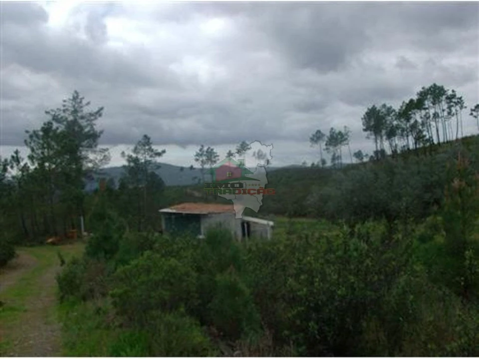 Terreno para Venda em Cumeada e Marmeleiro Foto 4