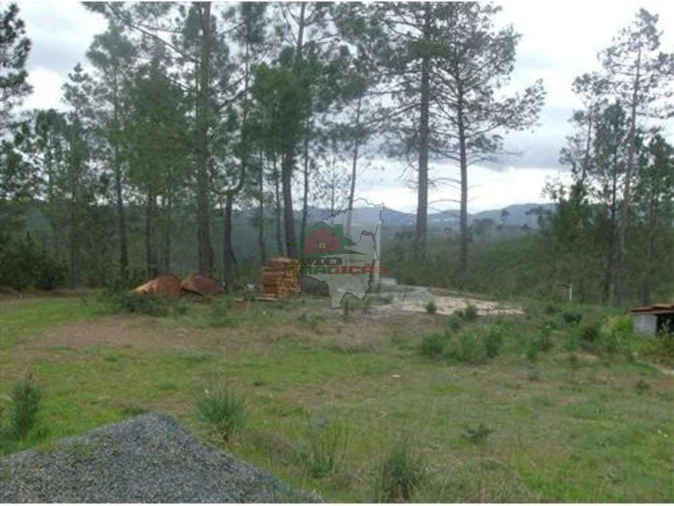 Terreno para Venda em Cumeada e Marmeleiro Foto 2