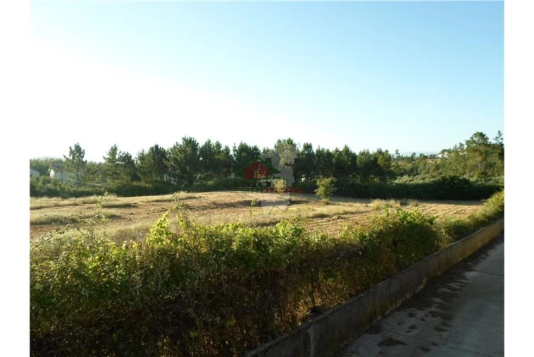 Terreno para Venda em Cernache do Bonjardim, Nesperal e Palhais Foto 1