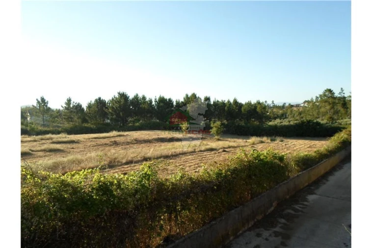 Terreno para Venda em Cernache do Bonjardim, Nesperal e Palhais Foto 3