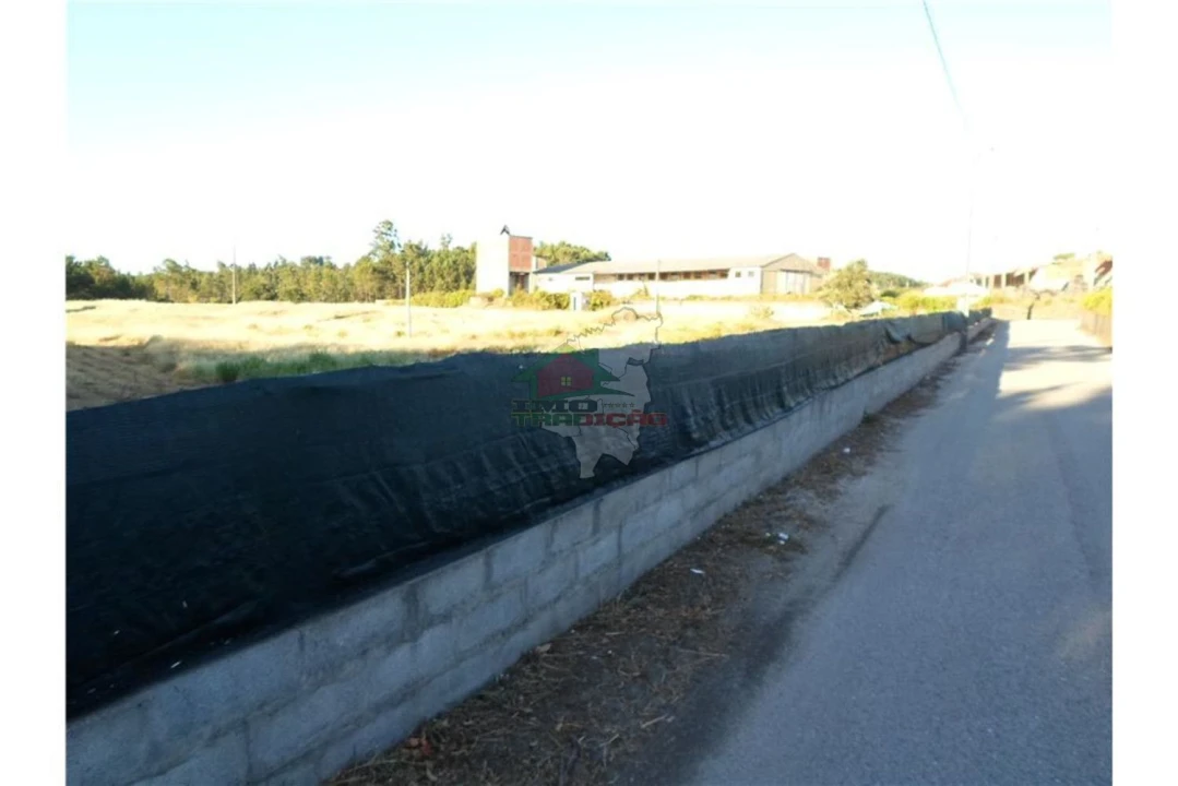Terreno para Venda em Cernache do Bonjardim, Nesperal e Palhais Foto 4