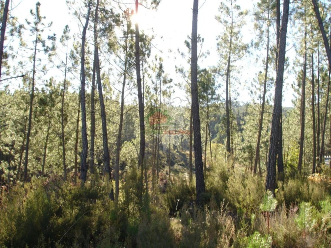Terreno para Venda em Oleiros-Amieira
