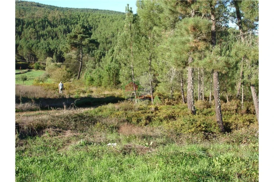 Terreno para Venda em Estreito-Vilar Barroco Foto 2