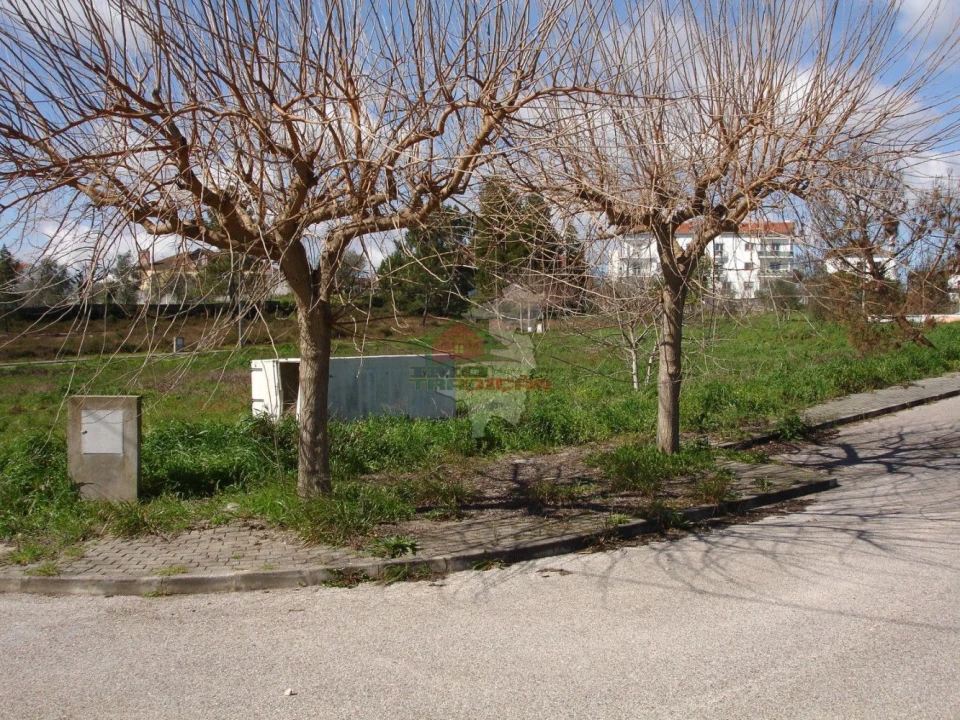 Terreno para Venda em Cernache do Bonjardim, Nesperal e Palhais Foto 2