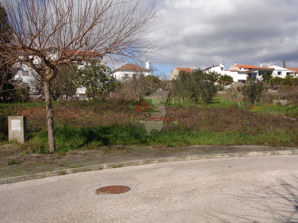 Terreno para Venda em Cernache do Bonjardim, Nesperal e Palhais Foto 1