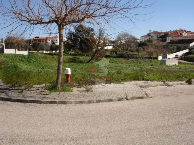 Terreno para Venda em Cernache do Bonjardim, Nesperal e Palhais Foto 1