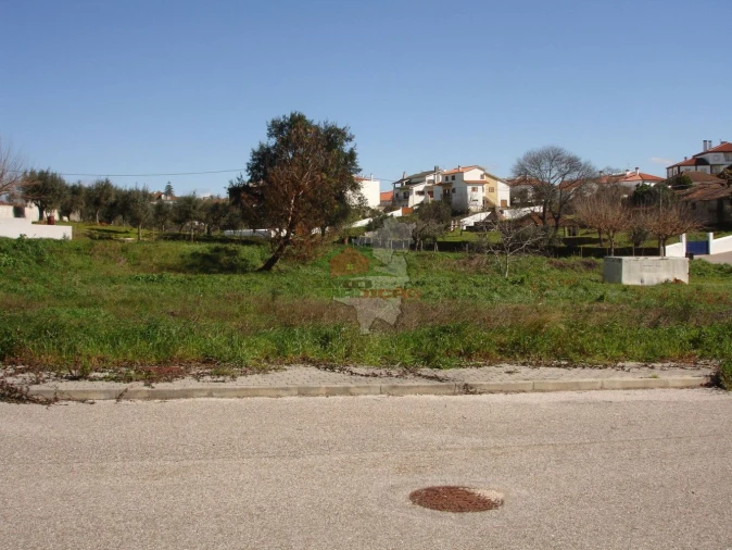 Terreno para Venda em Cernache do Bonjardim, Nesperal e Palhais Foto 1