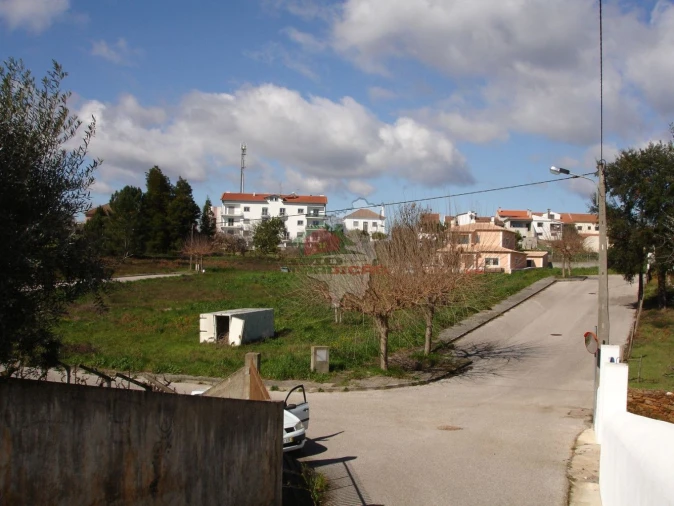 Terreno para Venda em Cernache do Bonjardim, Nesperal e Palhais Foto 4