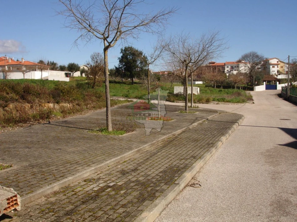 Terreno para Venda em Cernache do Bonjardim, Nesperal e Palhais Foto 1