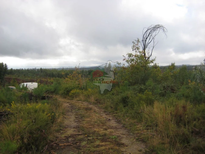 Quinta T1 para Venda em Vila Facaia Foto 24