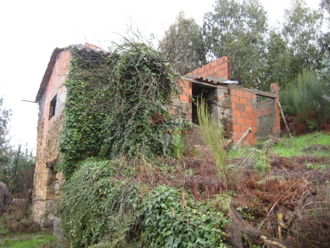 Quinta T1 para Venda em Vila Facaia Foto 9