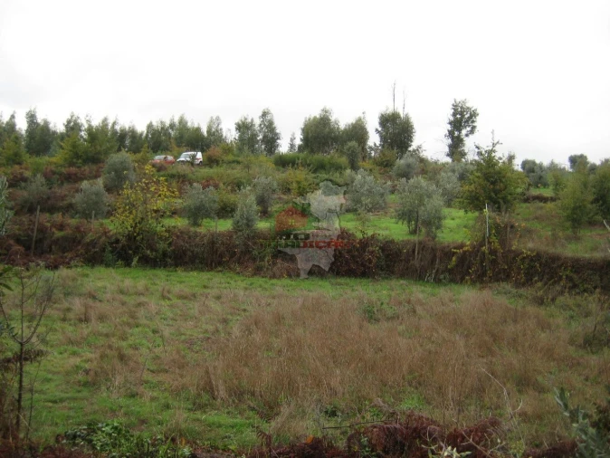 Quinta T1 para Venda em Vila Facaia Foto 14