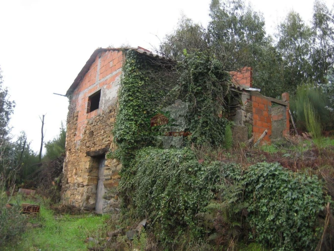 Quinta T1 para Venda em Vila Facaia Foto 3