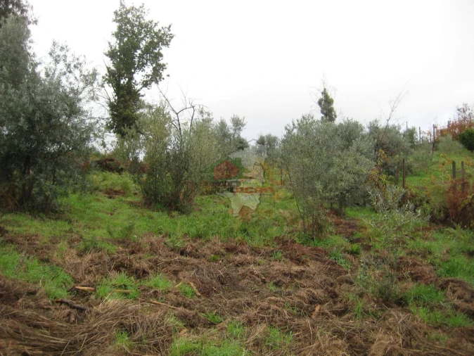 Quinta T1 para Venda em Vila Facaia Foto 10