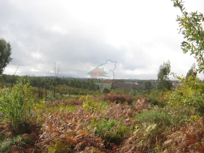 Quinta T1 para Venda em Vila Facaia Foto 21