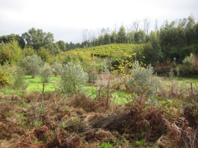 Quinta T1 para Venda em Vila Facaia Foto 19