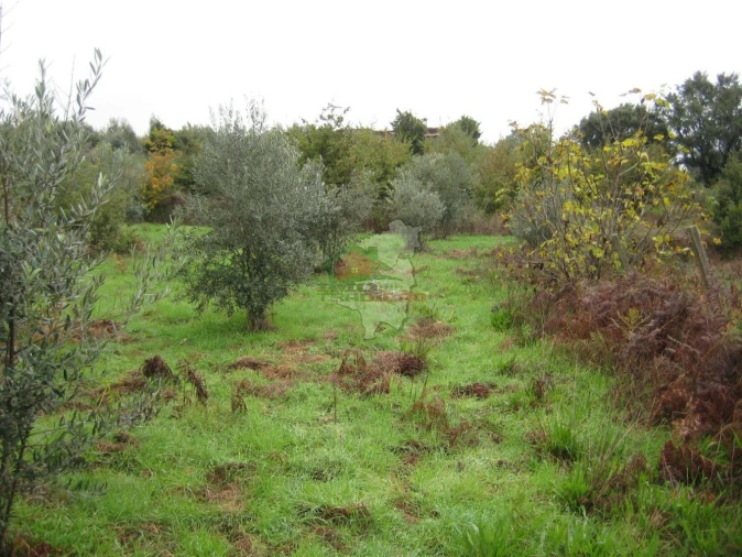 Quinta T1 para Venda em Vila Facaia Foto 11