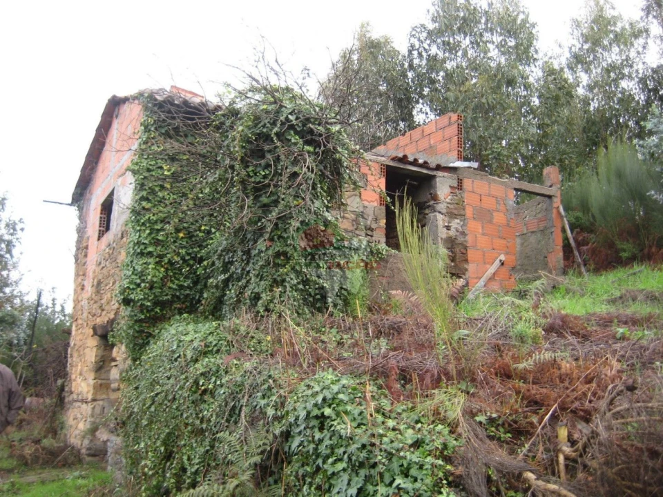 Quinta T1 para Venda em Vila Facaia Foto 9