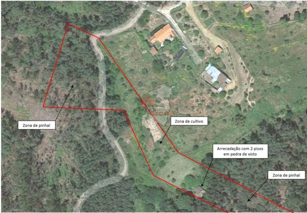 Quinta T1 para Venda em Vila Facaia Foto 26