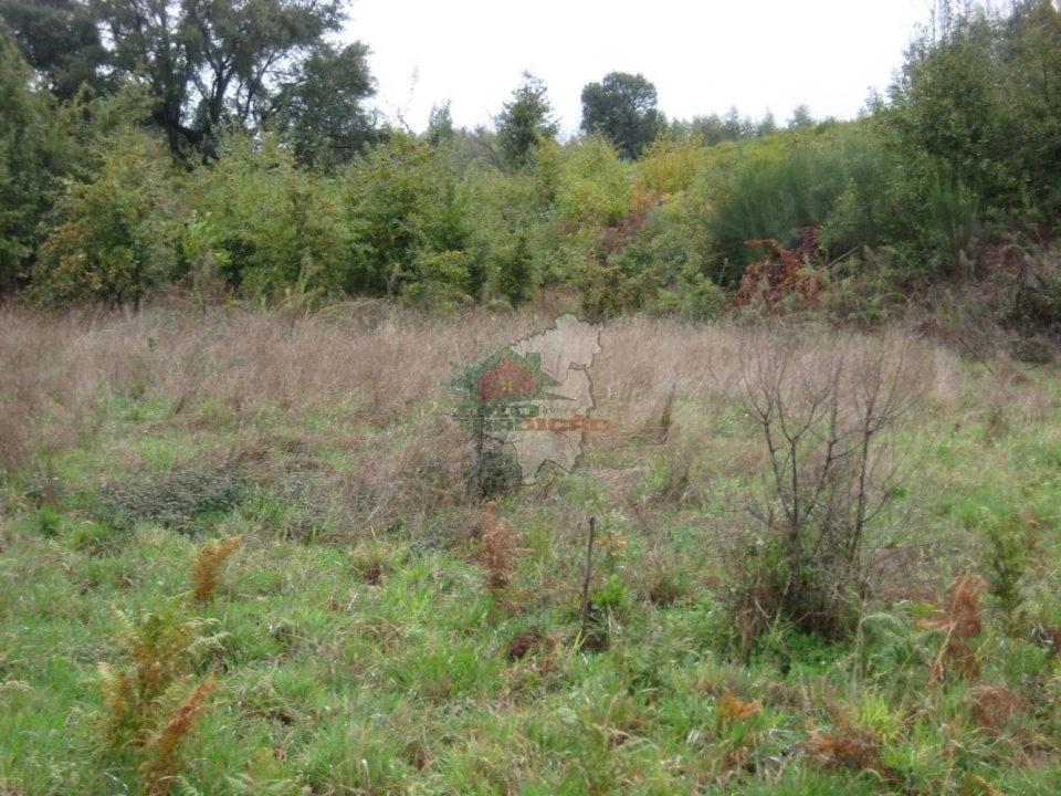 Quinta T1 para Venda em Vila Facaia Foto 12