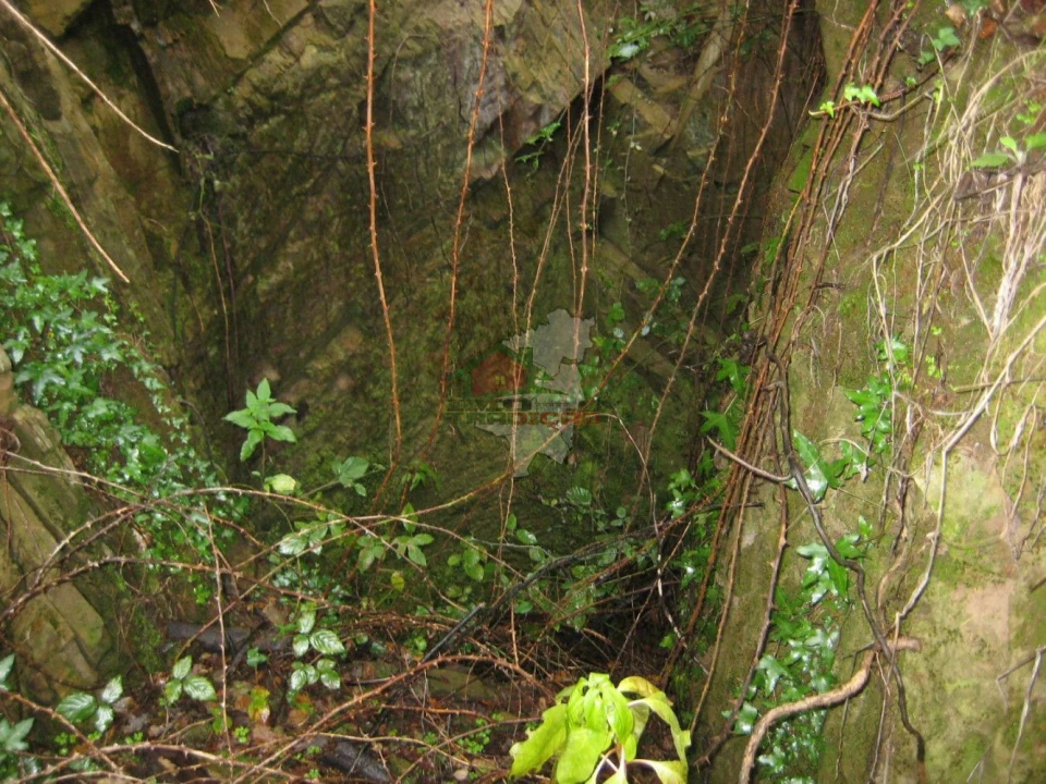 Quinta T1 para Venda em Vila Facaia Foto 16