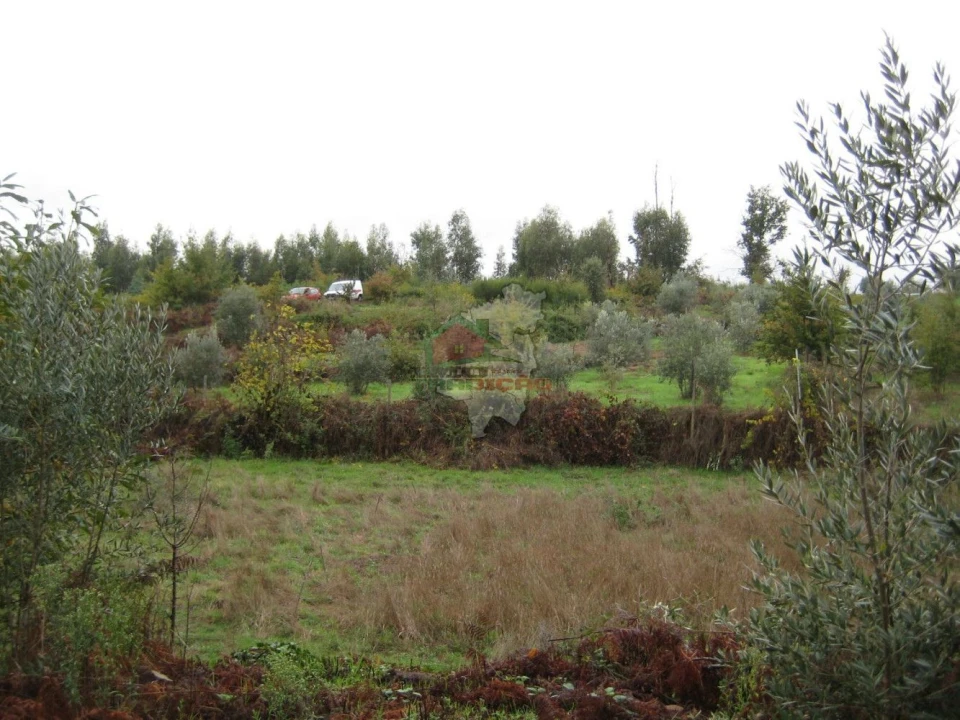 Quinta T1 para Venda em Vila Facaia Foto 13