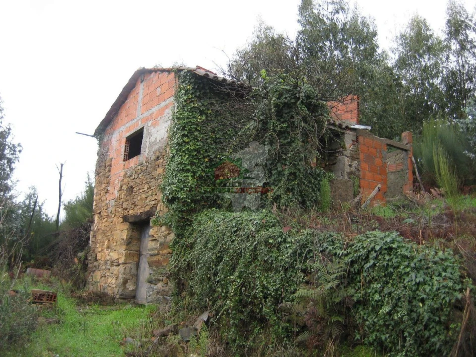 Quinta T1 para Venda em Vila Facaia Foto 3