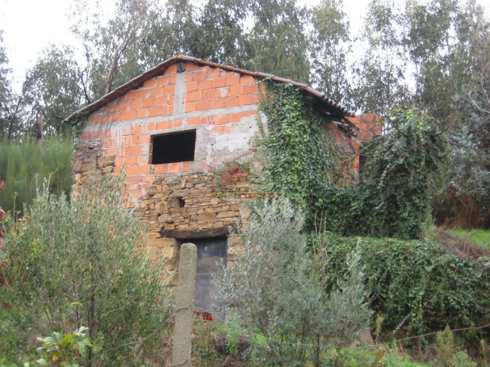 Quinta T1 para Venda em Vila Facaia Foto 2