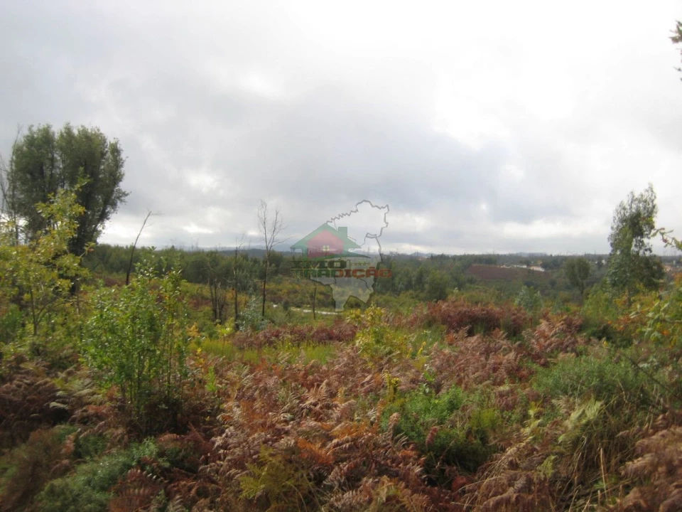 Quinta T1 para Venda em Vila Facaia Foto 22