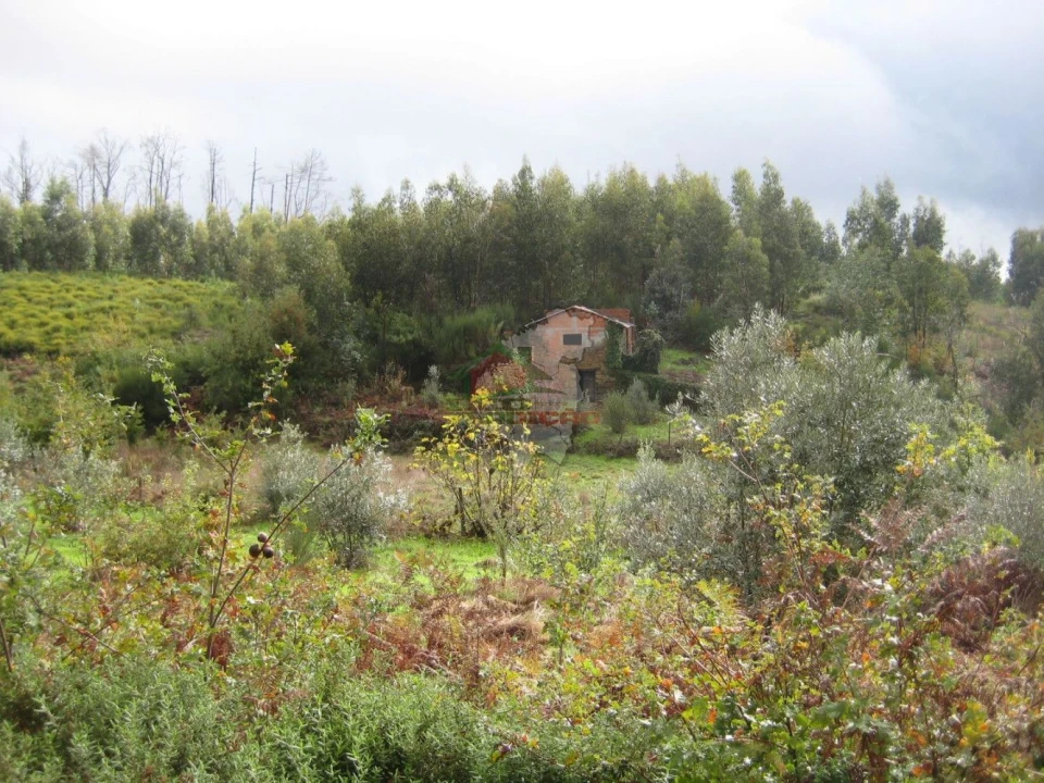 Quinta T1 para Venda em Vila Facaia Foto 20