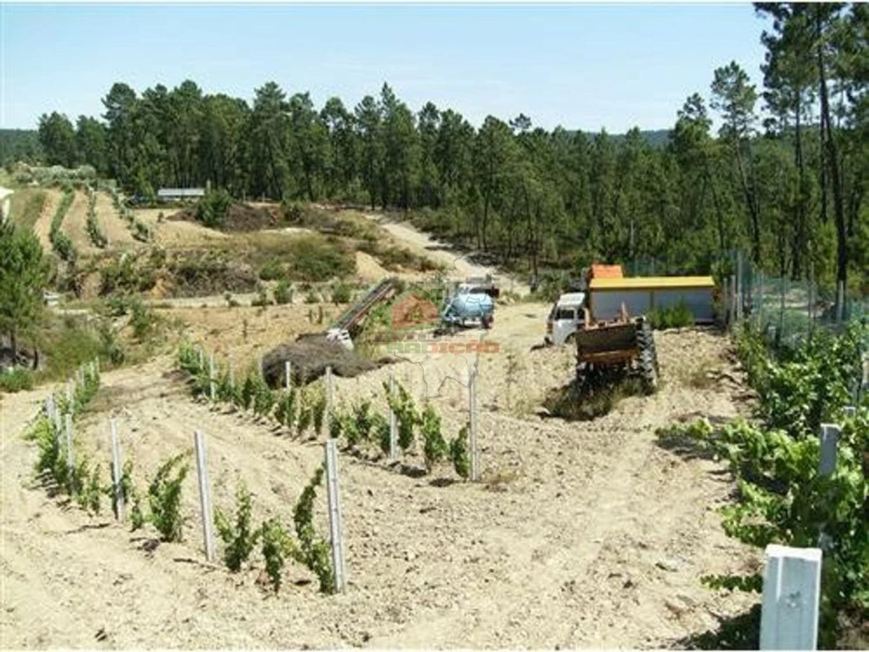 Terreno para Venda em Sertã Foto 2