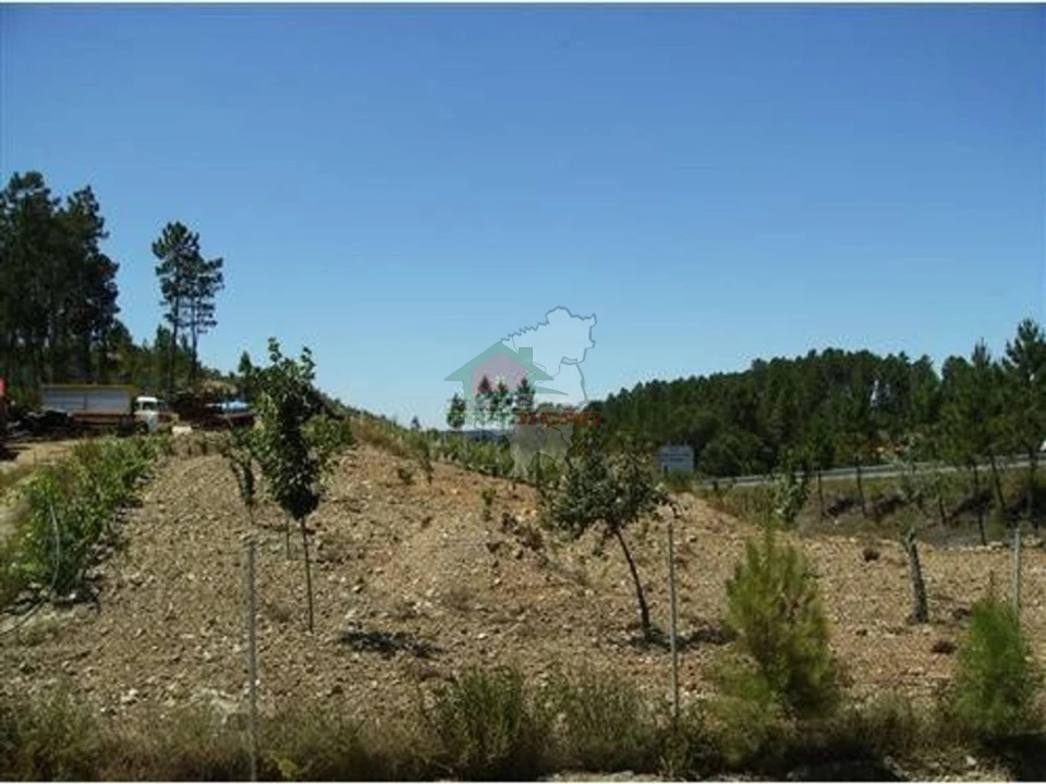 Terreno para Venda em Sertã Foto 1