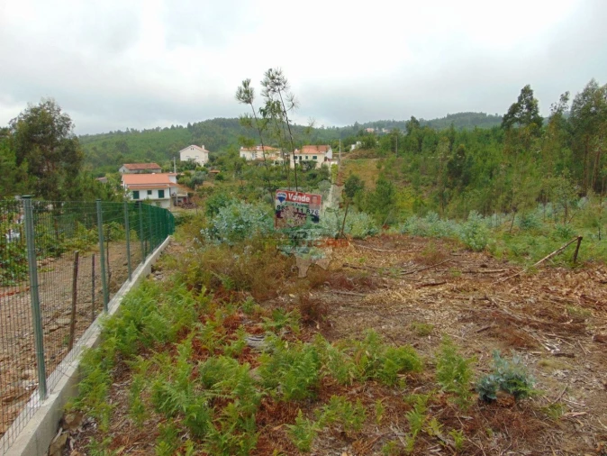 Terreno para Venda em Sertã Foto 2