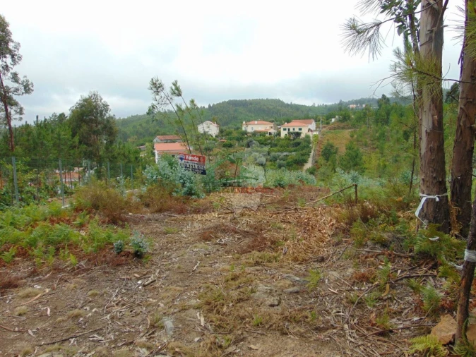 Terreno para Venda em Sertã