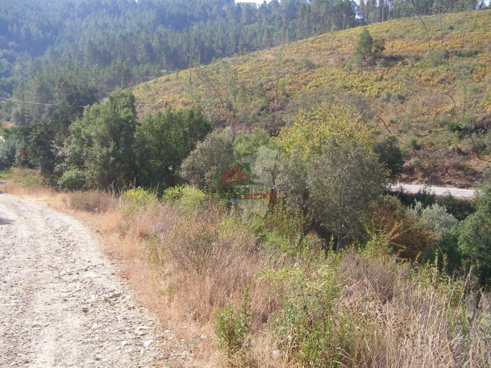 Terreno para Venda em Sertã Foto 3