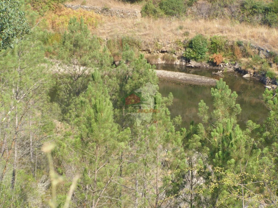 Terreno para Venda em Sertã Foto 5
